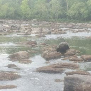 Meet your Posher, Brandi